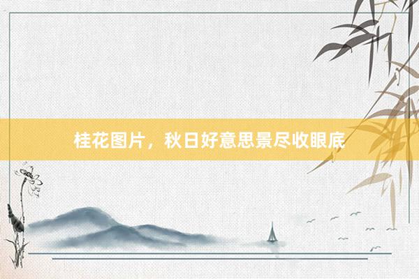 桂花图片,秋日好意思景尽收眼底