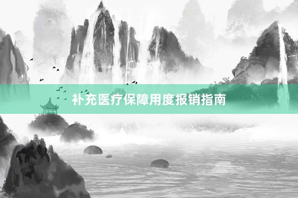 补充医疗保障用度报销指南