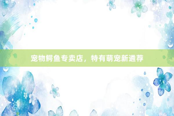 宠物鳄鱼专卖店，特有萌宠新遴荐