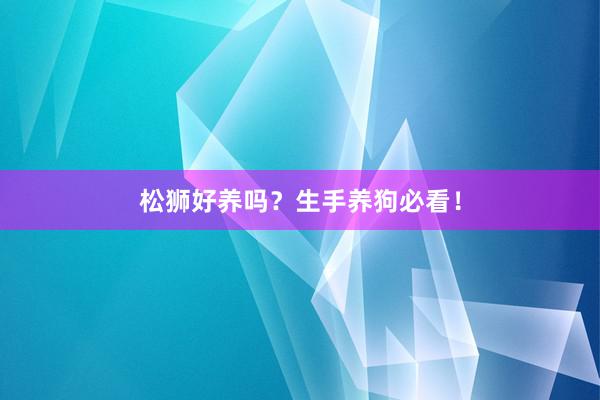 松狮好养吗?生手养狗必看!
